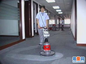 羊毛地毯、普通地毯與纖維地毯的專業清潔指南