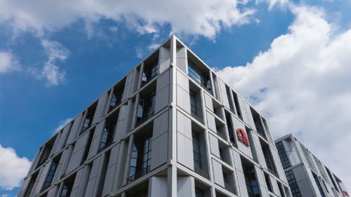 東方雨虹再度躋身2024全球建筑材料上市公司綜合實(shí)力排行榜，技術(shù)服務(wù)成核心競爭力