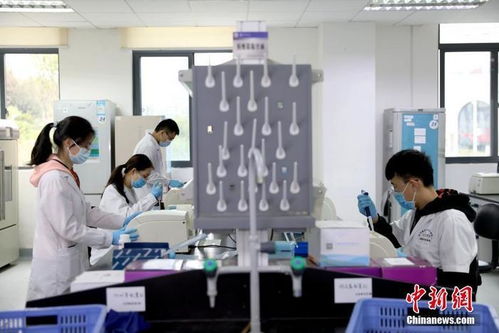 打卡介苗能否減少新冠肺炎感染風險？專家回應與技術開發進展